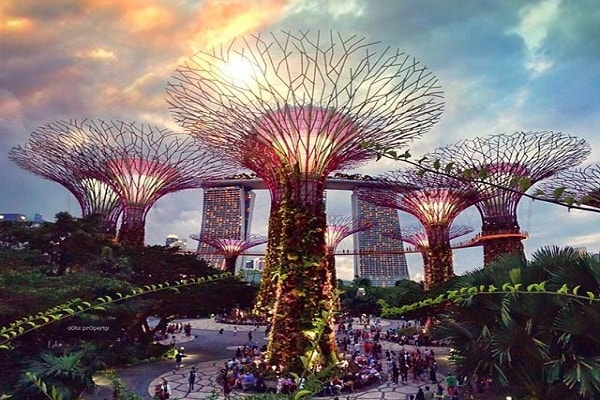Gardens By The Bay in Singapore