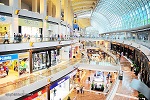 Shopping