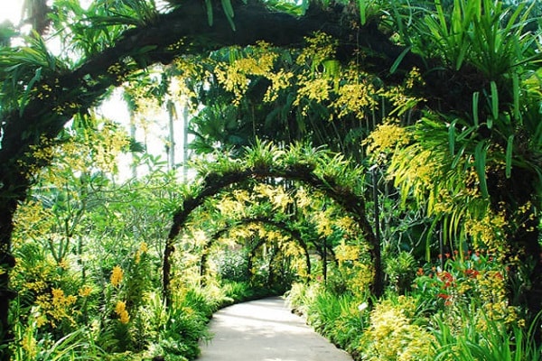 Singapore Botanic Gardens in Singapore
