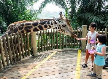 Singapore Zoo in Singapore